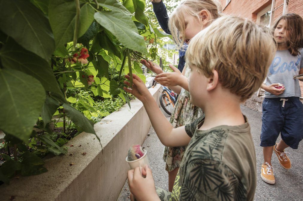 Tre barn granskar planteringarna